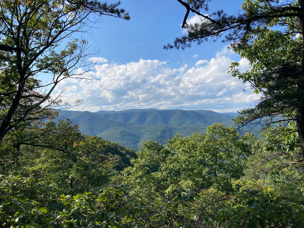 Hogpen Mountain - Virginia Wilderness Committee