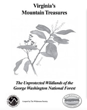 Virginia's Mountain Treasures